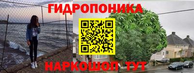 соль ск Усть-Илимск