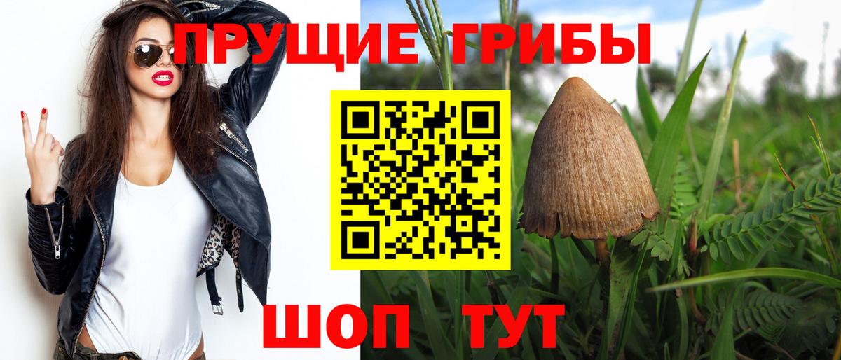 Ангарск  Псилоцибиновые грибы Magic Shrooms  Вход с VPN  Галлюциногенные грибы Psilocybe 